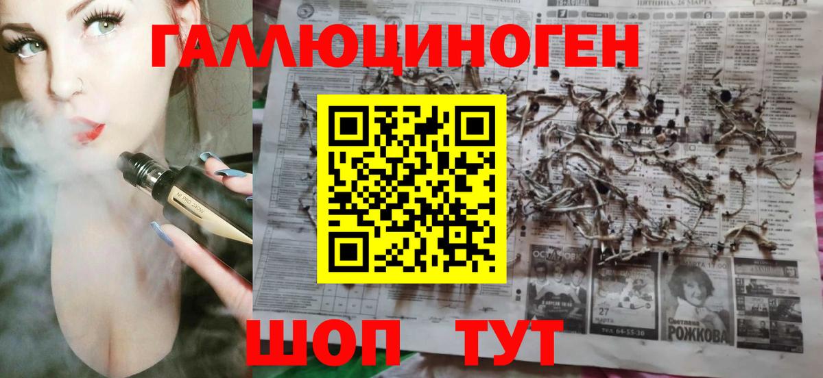 Галлюциногенные грибы Psilocybe Ачхой-Мартан