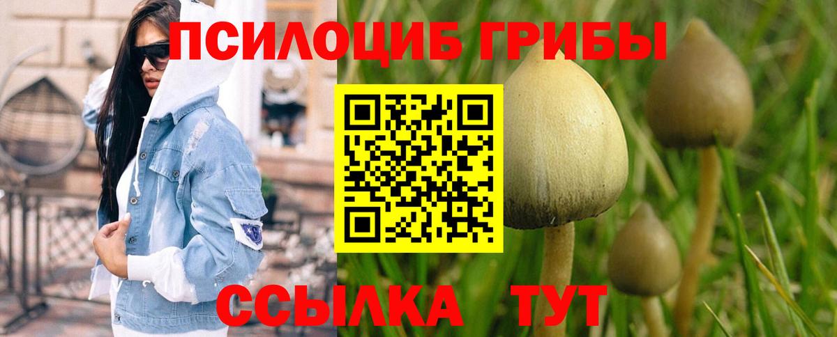 Ачхой-Мартан  Галлюциногенные грибы Magic Shrooms  Вход с VPN  Галлюциногенные грибы Psilocybine cubensis 